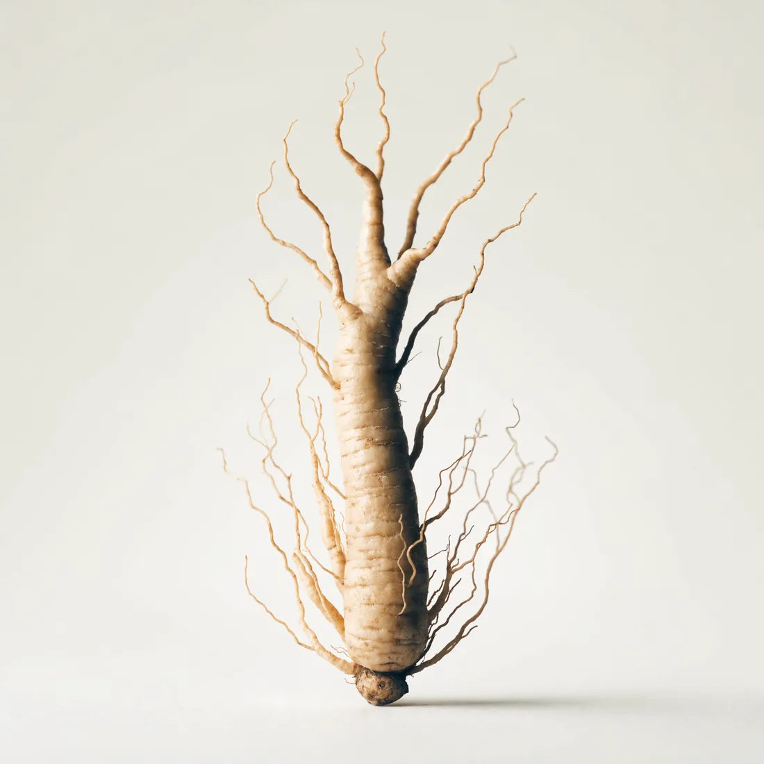 Cereboost®